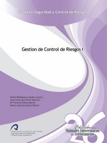 GESTIÓN DE CONTROL DE RIESGOS I
