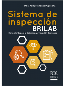 Sistema de inspección BRILAB. Herramientas para detección y evaluación de riesgos